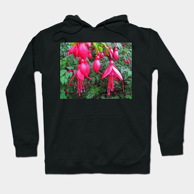 Fuchsia Hoodie by RedHillDigital